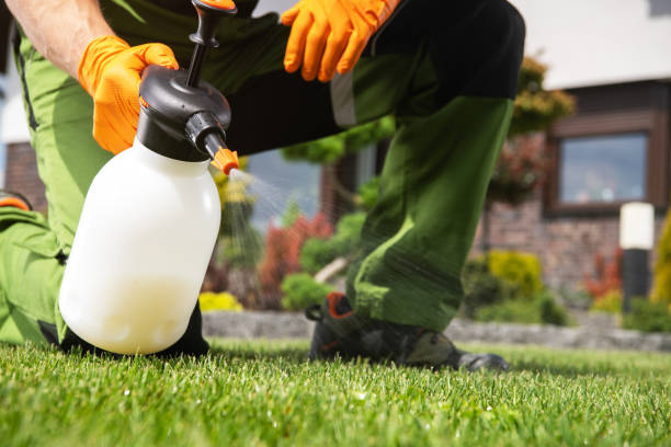 Wildlife Control Services in Lakeland, FL